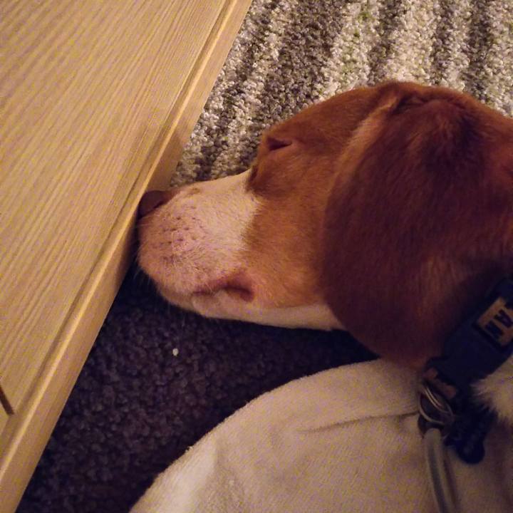 F9527be3 fc7e 47cf b453 8ea6f8449bf6 1536329058033