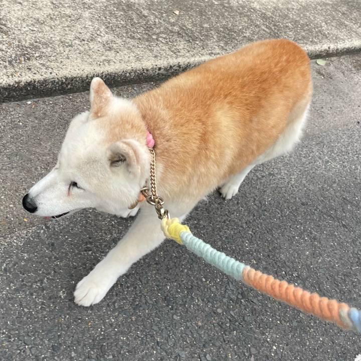 F95282e0 8fc0 4ce5 8579 d8685936e73b 1716418872224