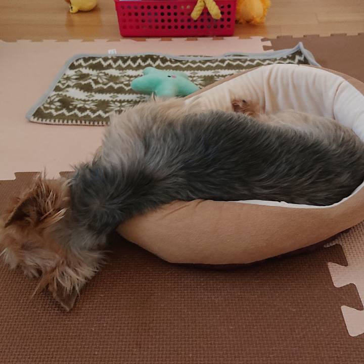 F95286aa 2d53 47aa b70c 3a896564ef01 1560823559555