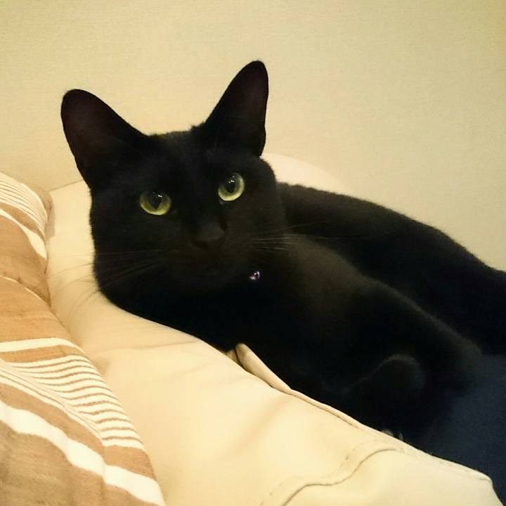 F9529312 a651 404b 8f47 5d9b98e00882 1533213916554