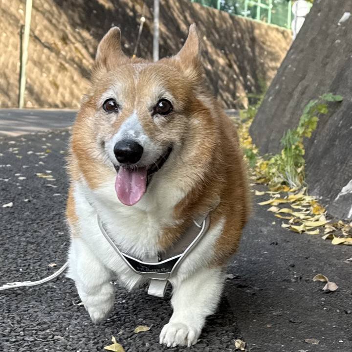 F952b569 2bcd 44a3 9ad3 66e25449a61c 1763177178150