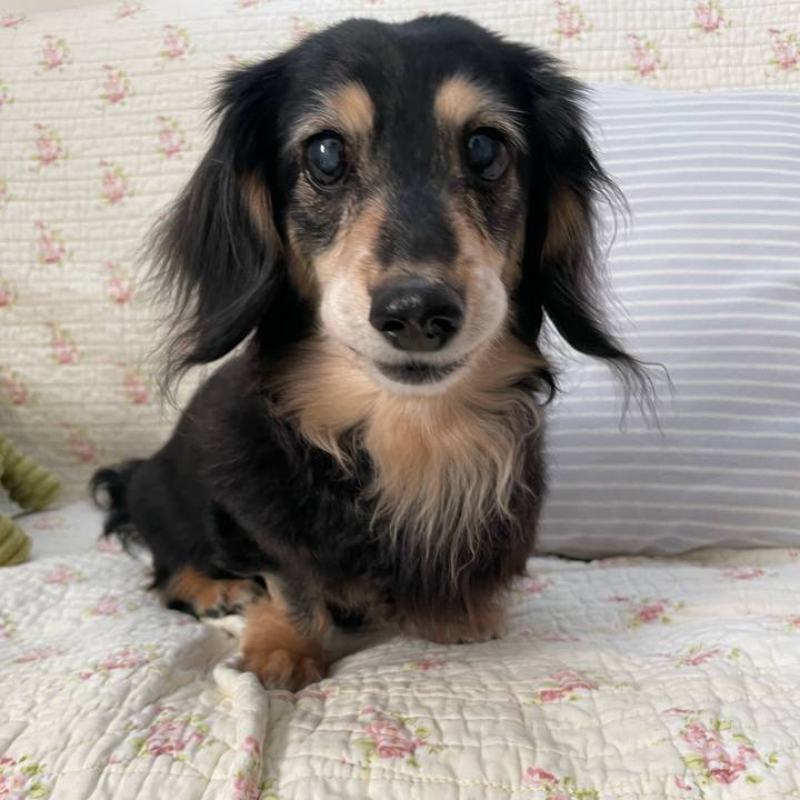 F952d2f0 d126 4693 94fc 6de7dee1a8b2 1683764610847