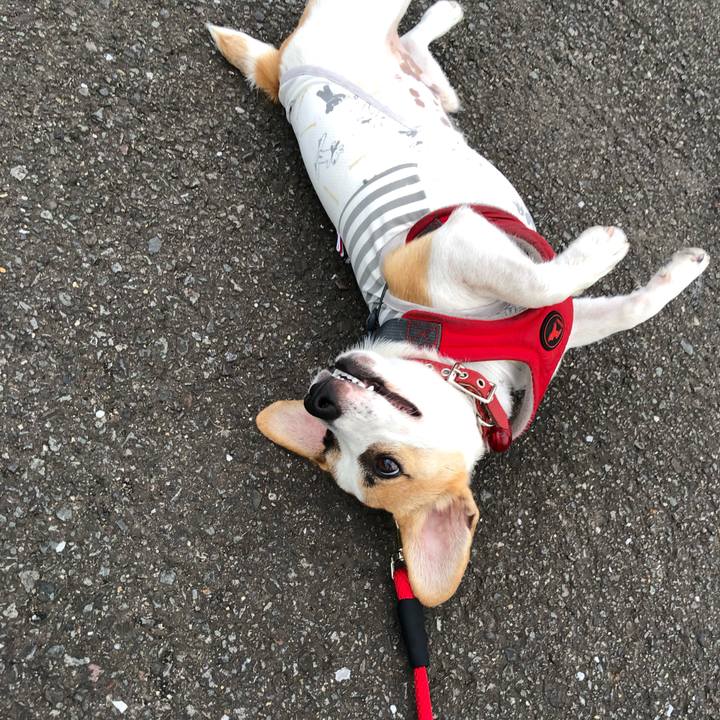 F952ff83 09f5 448a 8258 65c5895fc363 1562340121851