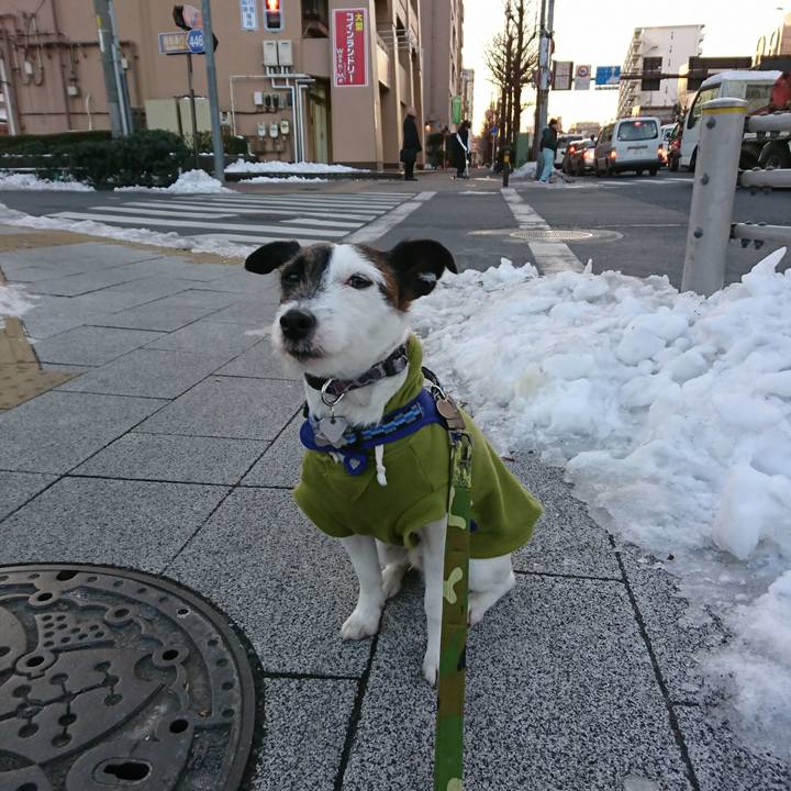 F95376cb 59c7 4ae2 89e2 9ae840b37b08 1516917810324