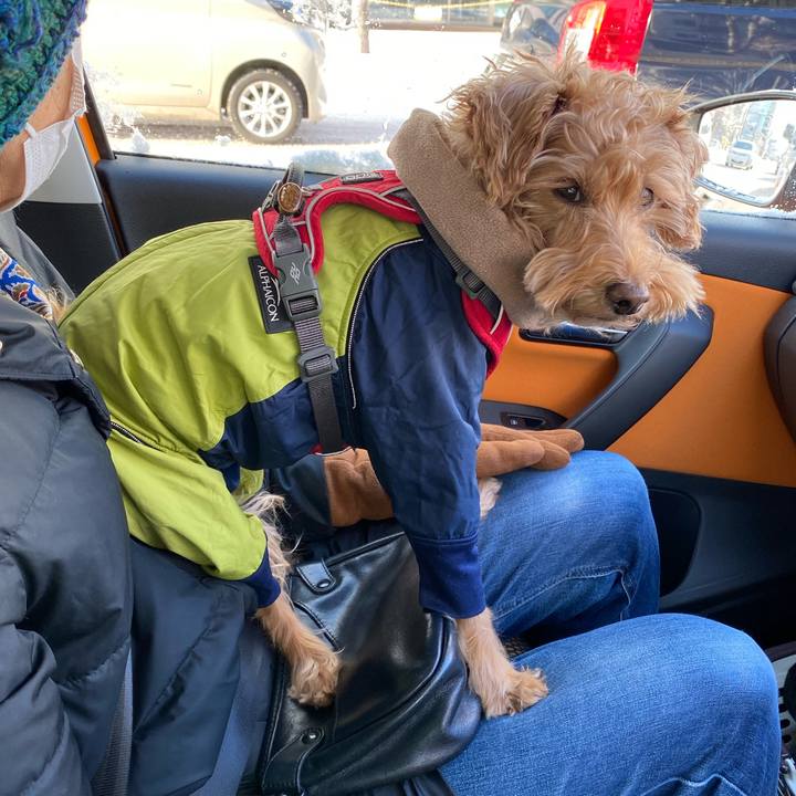 F9539fb6 08c2 4cf0 a9f6 343103c49b42 1670810686609