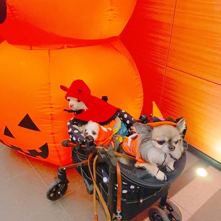 F953a6d5 d74d 4a2d b53a b0b702469140 1635601689014