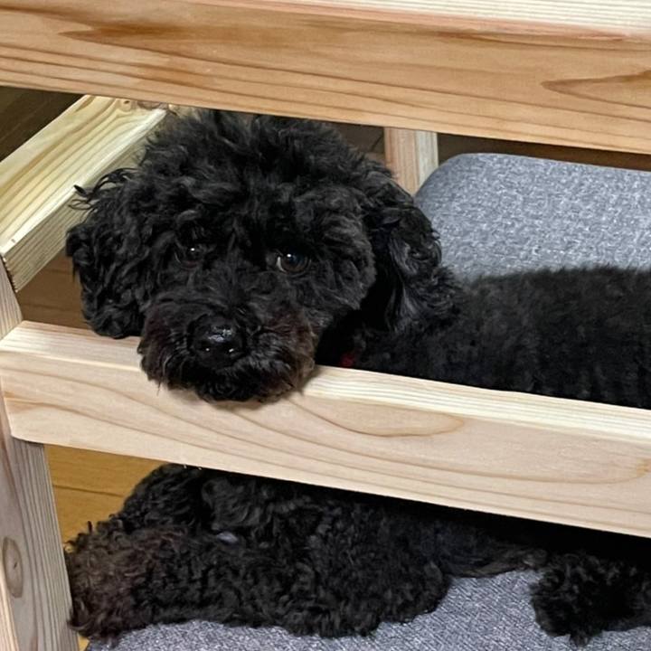 F953bcdf 5369 4f72 a4de 7096189c58a4 1634981633895