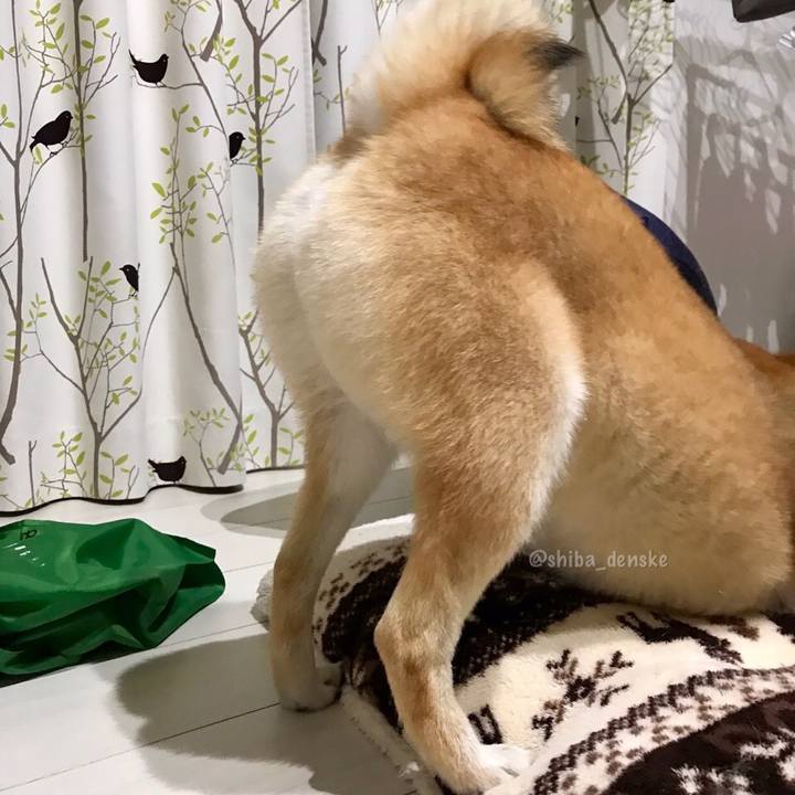 F953dfef 668f 4c6b acba b0458fbf36f0 1563370931831