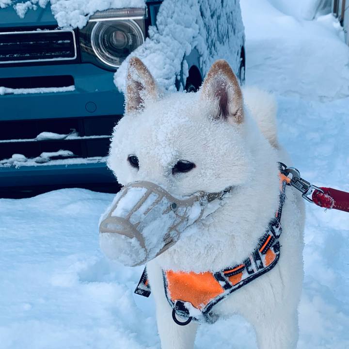 F953f776 ea7c 43da bb08 45f43bcc7da9 1675119035681