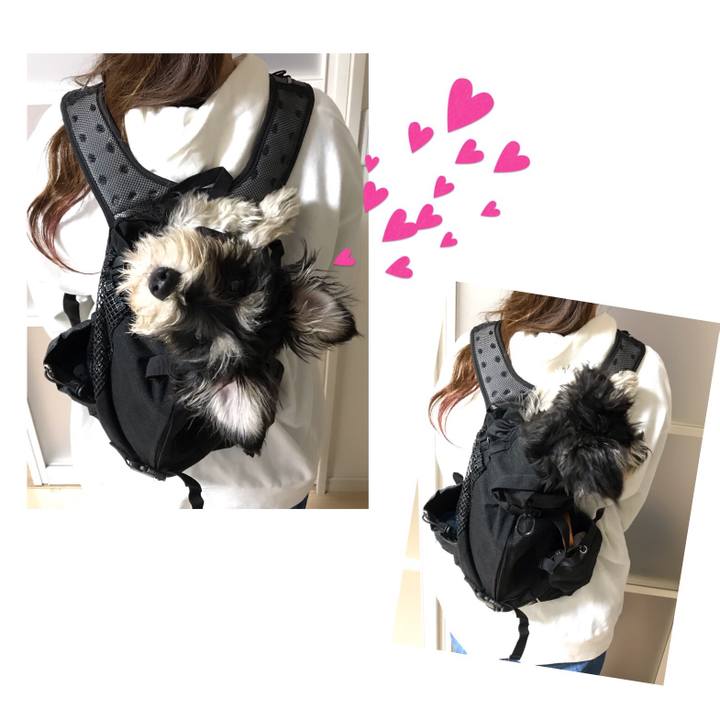 F95414ab 1647 4f83 bf55 1676d1e87a89 1556448979568