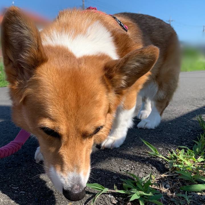 F95416ad 35e1 4291 b068 c9cef0ec4537 1690241894724