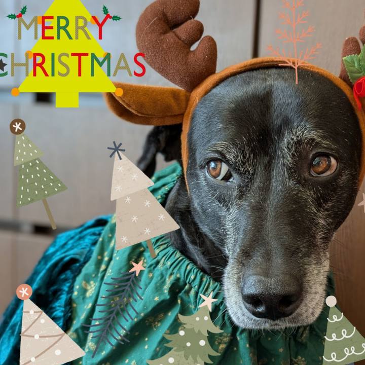 F95428ff 9d9c 4c49 82f9 a52a65274221 1766624247732