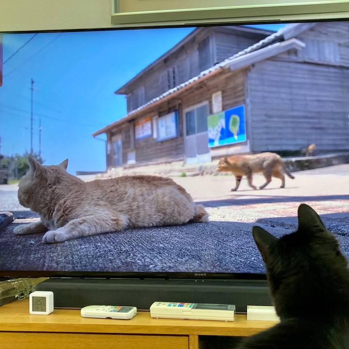 F9543824 5fcd 41a5 a9e2 ccbc5ba32629 1711627523381