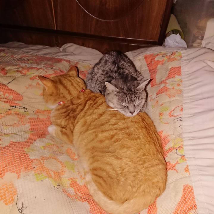 F9545d35 e9e5 4928 a854 c9bd564c4b49 1578409401759