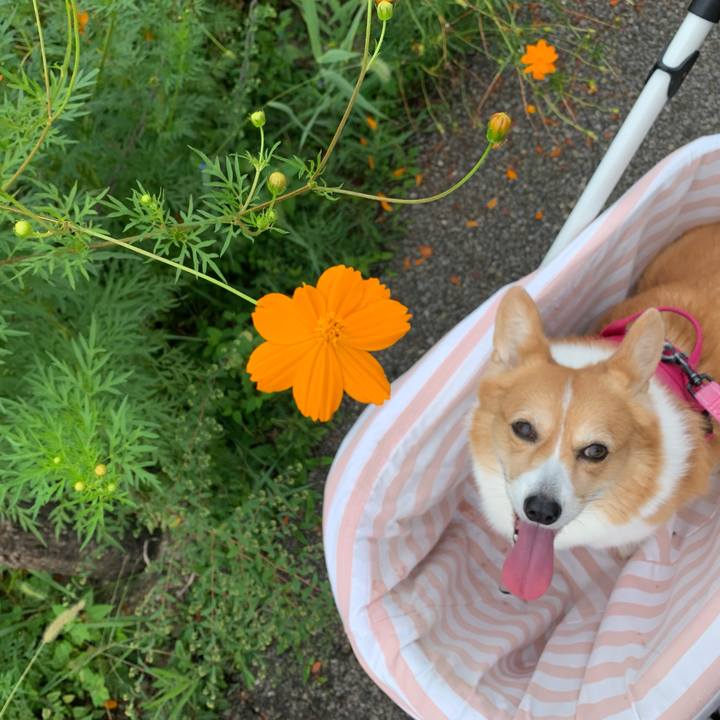 F95471bf 22bc 47aa a6bf 4f91d0d40f61 1695178125224