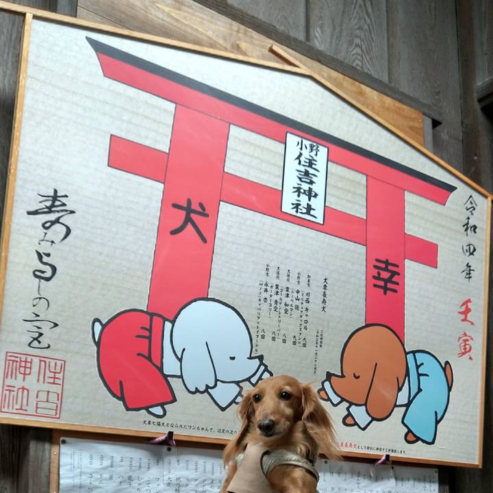 F954765e 60f5 4156 8b3b 471b5b7edbcc 1665404372878