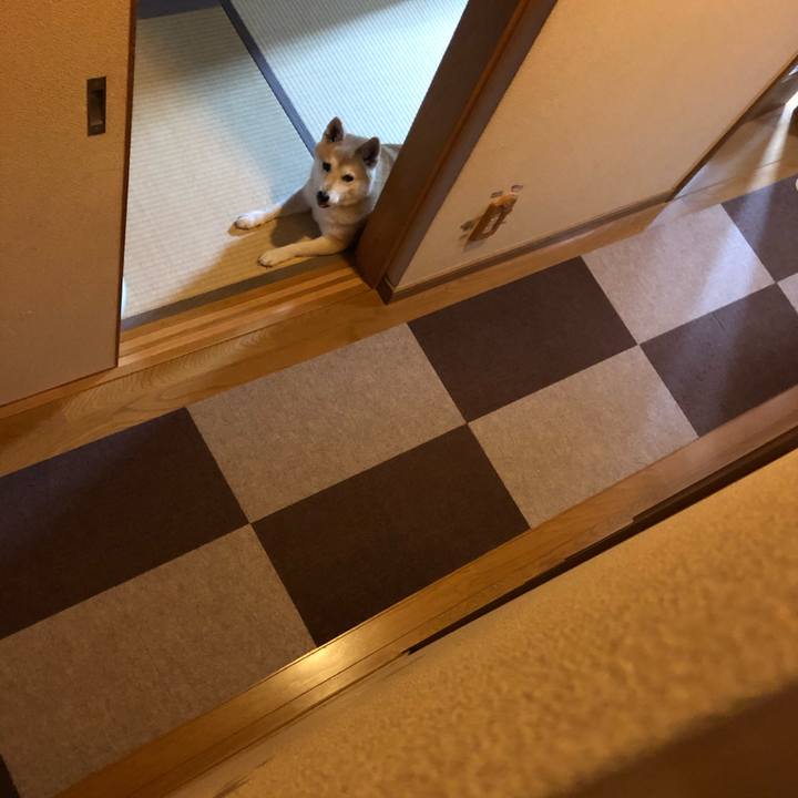 F9548c4b 9081 424b 9387 4b70decaa21f 1602039525054