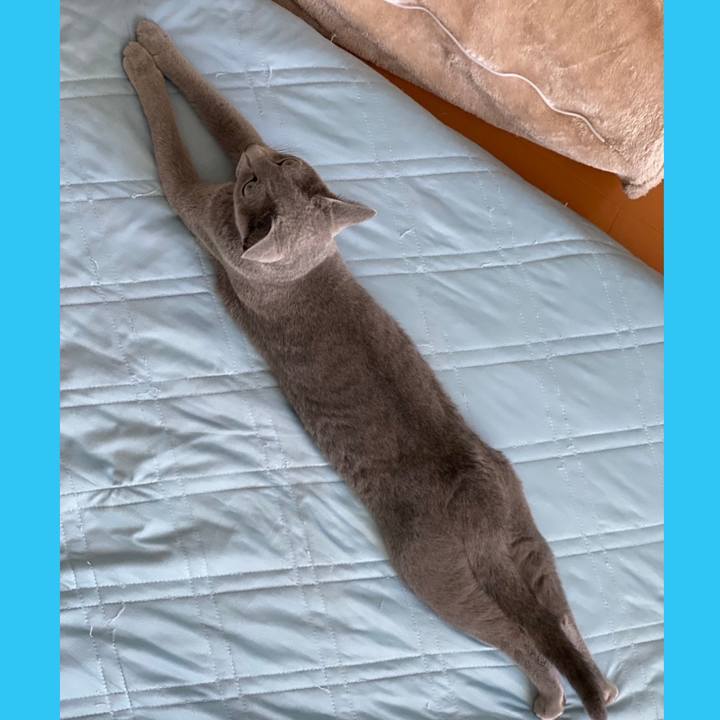 F9549e78 b7a8 46aa b291 7077ca834ac9 1626610532313