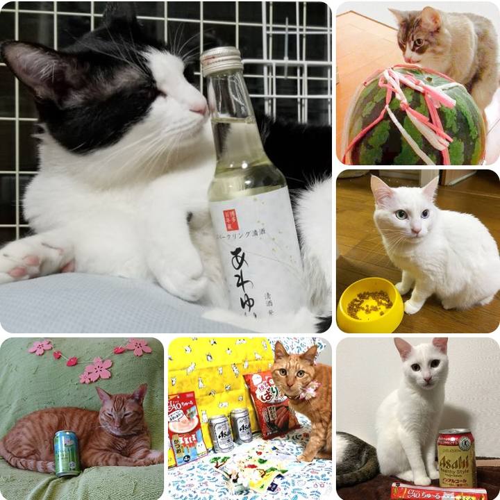 F954bb10 bf58 4be2 b1a0 533c5ab50265 1526383712086