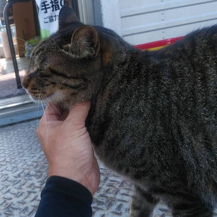 F954cc8a 3ab3 4fb8 8005 b495c407e2d5 1598318368145