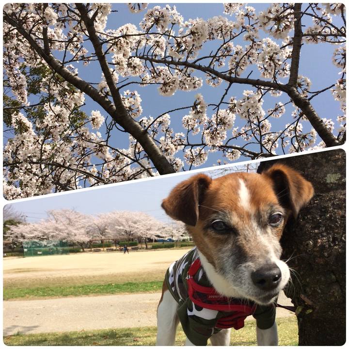 F954e67e a8ab 4dfc 9324 f4384ae563b6 1522298467313