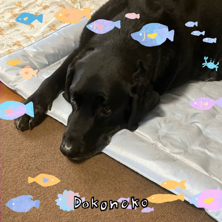 F9550cb5 2312 42fe b642 b0a88479f5eb 1755214892151