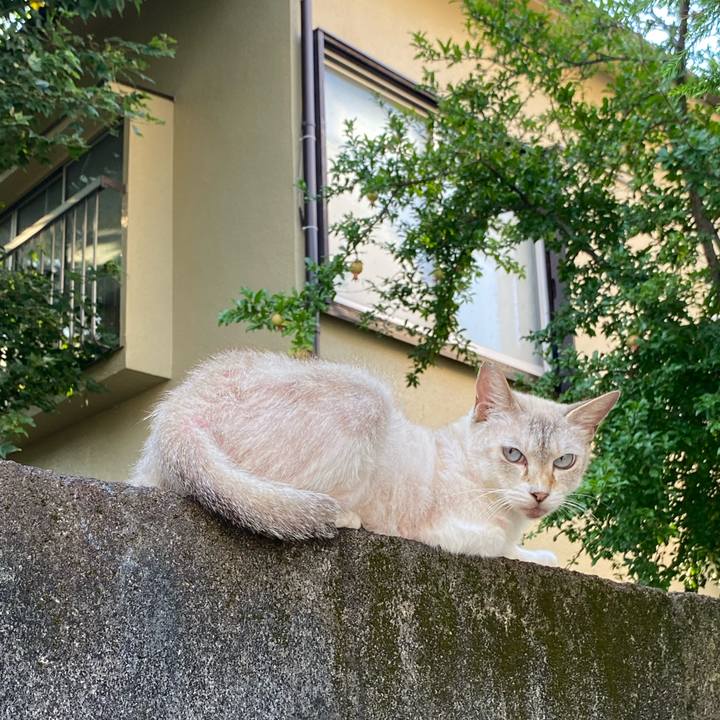 F9551016 d7f4 4a99 b5db 0d0bee36c3ed 1662813708400