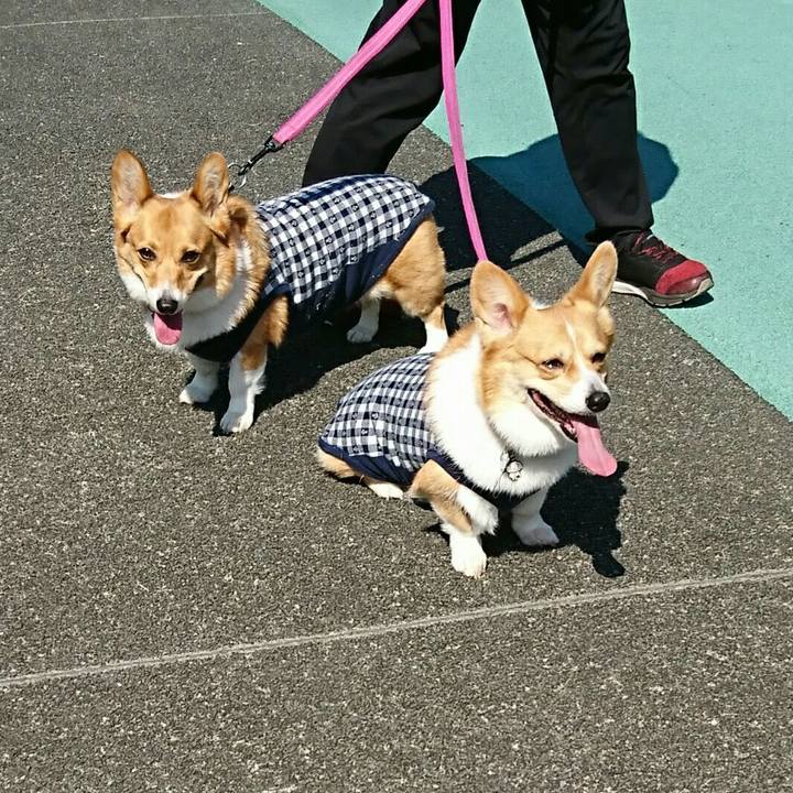 F955350f 6c9c 4f22 83a0 65dc05b2f299 1552103782780