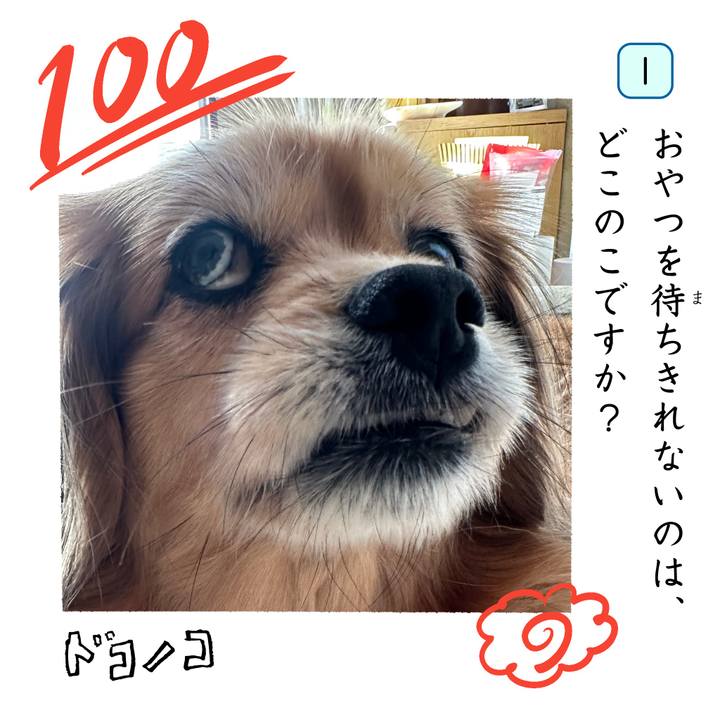 F95549f3 048a 4910 82ab 79d8ded7a47b 1744500352562