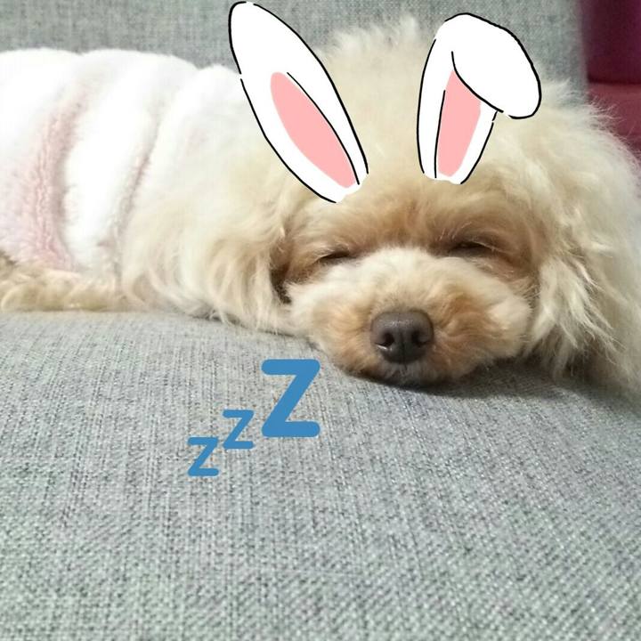 F9558212 1845 4865 85e1 ca37e50bf02c 1549533594756