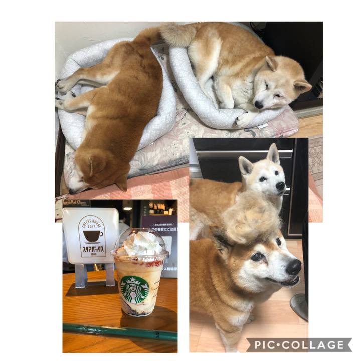 F955d73a 2d32 41b8 89d2 7ecd3f30b177 1558997194965