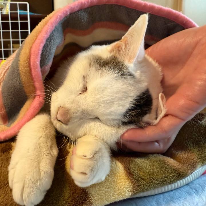 F955e4d5 af8f 4132 a097 5cde87af8f36 1770265782229