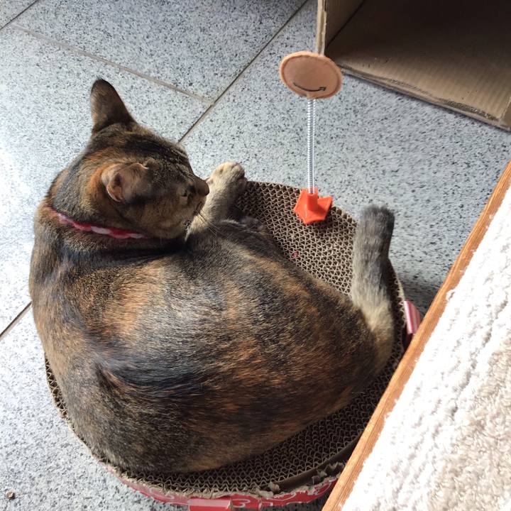 F9562208 d0ea 4f45 801d 16a714681578 1606617900174