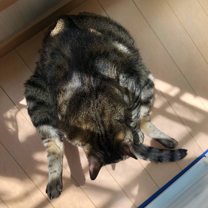 F9562acd 08ac 4a2c a804 74fe62e25466 1588573111419