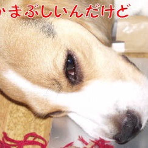 F9563a7a 0834 45a8 8fef 19b09c0c9483 1692317143037