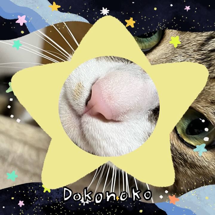 F95668b3 bc7f 48a6 ab2c 13e1de804938 1721022654038