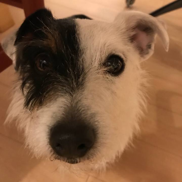 F9567b6e 0a31 4de0 af4f 49f5a8fb2d66 1523703522590