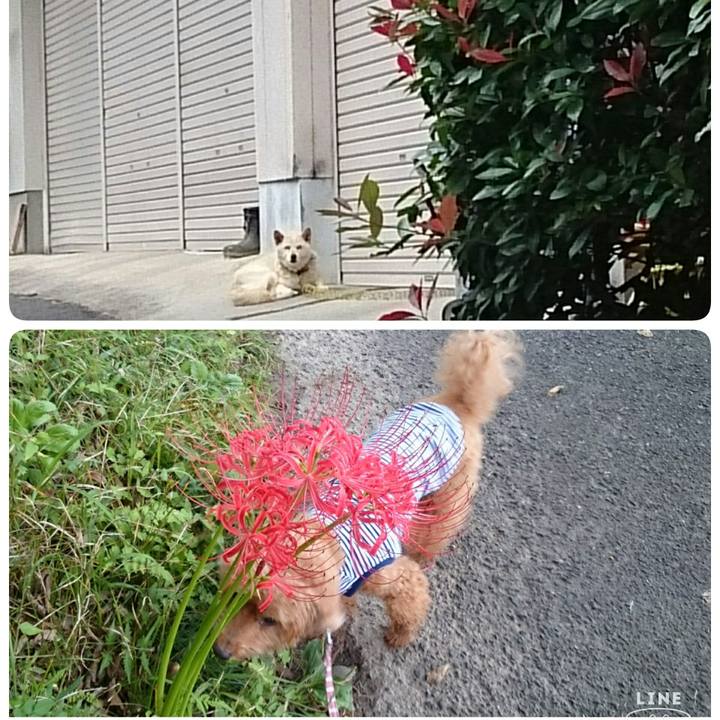 F9569032 d7a2 40e9 bc1f 69c74a48f97f 1536986771769