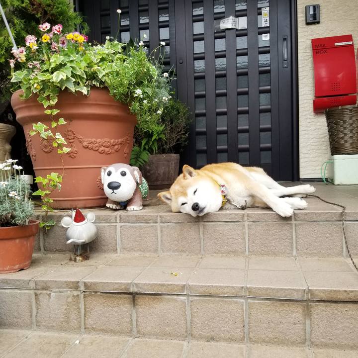 F956937a deb7 40be 8b62 0fe97e6c6c06 1684453482680