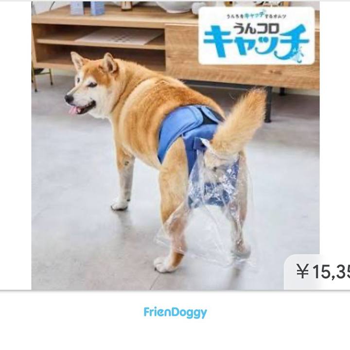 F956e7f4 990f 4246 800a 03bde7c92d6c 1772345465826