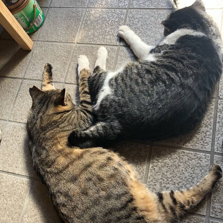 F956fad8 34b4 4fe4 8e8d fcada4efb4e6 1538478406914