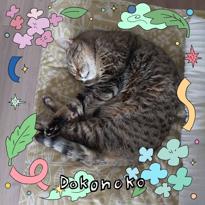 F956fc07 54cf 4fcc 8131 9beb9aac6990 1718002591551