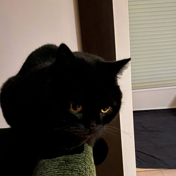 F9570461 9e11 4bb4 b6c8 301d6d32842a 1611912644198