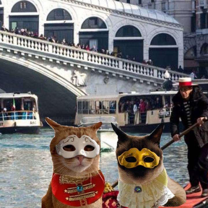 F95730e5 98d4 46cb afc5 1ce02d221fb5 1566219677072