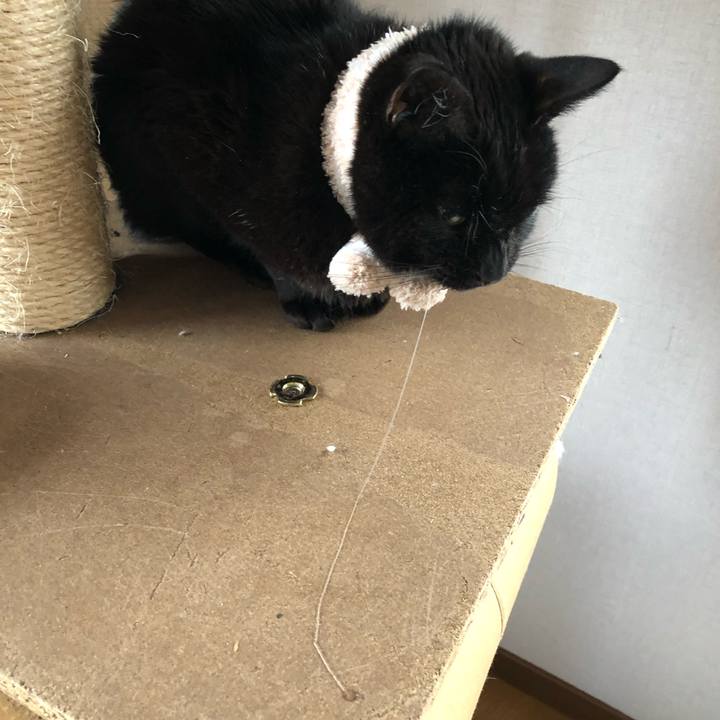 F9573348 ec63 44c8 94cb 977279dd4afd 1554759381690