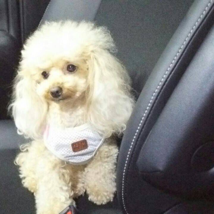 F957585c 72a3 4fb6 832a ed627ff45b17 1532693628463