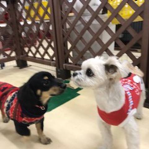 F95767dd 4c8a 4f8e 9557 6f754bd4e838 1513685038571