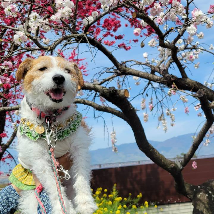 F9576f65 bf32 40d3 8f13 4c0c29ca7627 1713073170998