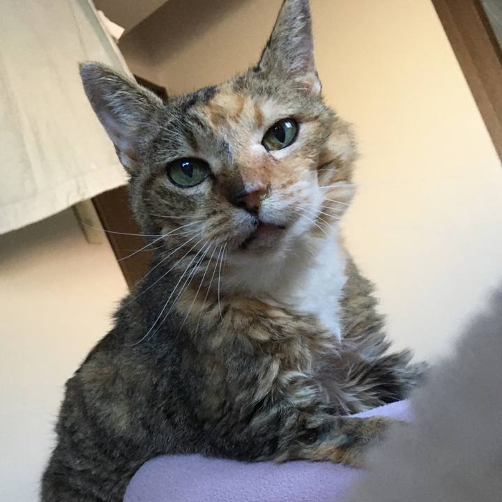 F9579dd5 3a54 4e85 b67f ef4c624768b7 1580988317707