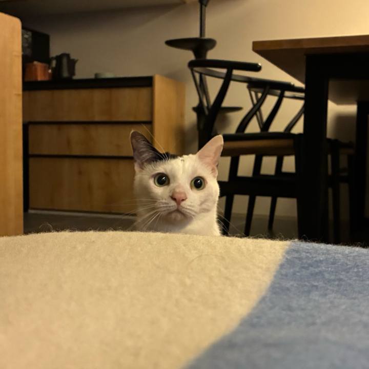 F9579f20 8025 4c8c 9347 93b41d2e4951 1765450742348